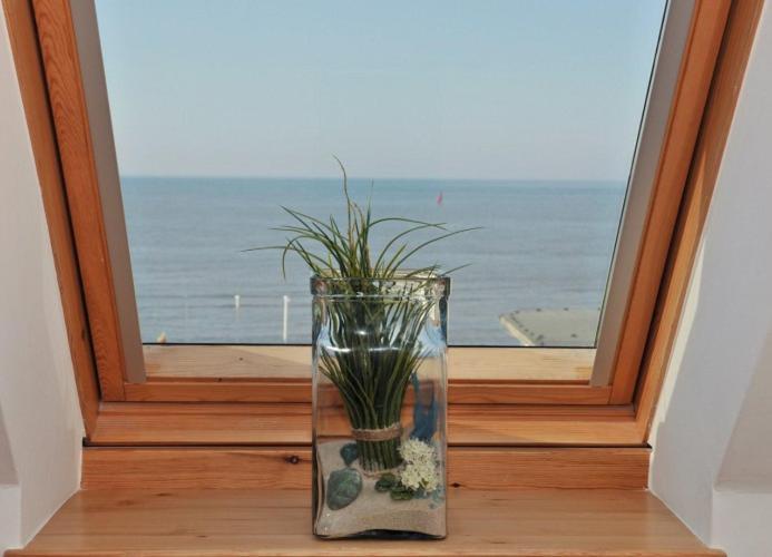 Seeblume 방어로게 외부 사진